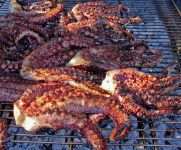 OCTOPUS GRILL